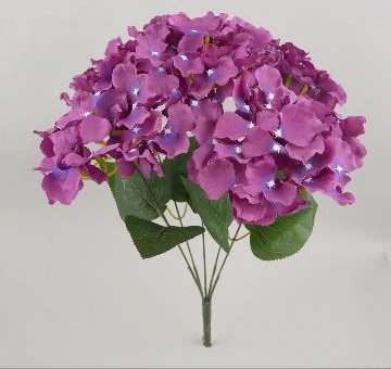 Hydrangea Bunch x7 New Open